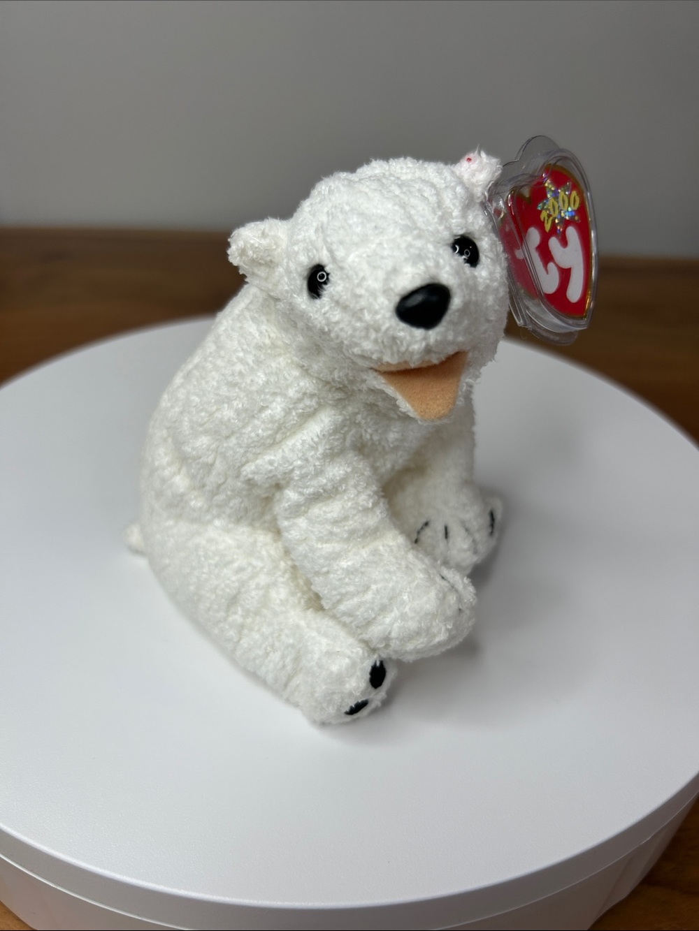 TY Beanie Baby Aurora the Polar Bear (2000) MWMT with Acrylic Display Case
